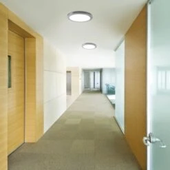 Näve LED-Deckenleuchte Bonus 33 Cm -Beleuchtungsgeschäft 222880647 3065 AB imgmil 1