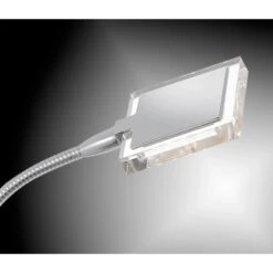 Paul Neuhaus LED-Tischleuchte Daan -Beleuchtungsgeschäft 2525111 2426 443117 3