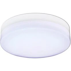 Näve LED-Deckenleuchte Cool Weiß -Beleuchtungsgeschäft 2871135 3065 11966611 D02