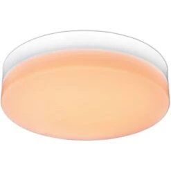 Näve LED-Deckenleuchte Cool Weiß -Beleuchtungsgeschäft 2871135 3065 11966611 D07