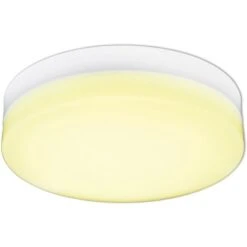 Näve LED-Deckenleuchte Cool Weiß -Beleuchtungsgeschäft 2871135 3065 11966611 D09