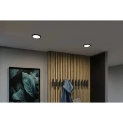 Paulmann LED-Einbaupanel Areo VariFit 11,8 Cm 6,5 W Schwarz -Beleuchtungsgeschäft 4000870799628 2425 08