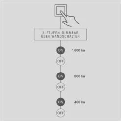 Näve LED-Wand - Und Deckenleuchte Aarhus 47 Cm -Beleuchtungsgeschäft 4003222878897 3065 CU 06