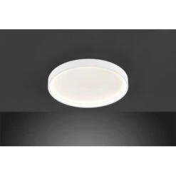 Wofi LED-Deckenleuchte Ø 45 Cm Weiß Dimmbar -Beleuchtungsgeschäft 4003474398815 2858 1