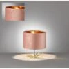 Fischer & Honsel Tischleuchte Aura Rosé Samt Ø 24 Cm 2 Fischer & Honsel Tischleuchte Aura Rosé Samt Ø 24 Cm -Beleuchtungsgeschäft 4003694503938 1546 1