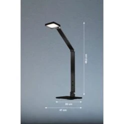 Fischer & Honsel LED-Tischleuchte Rike Schwarz 69,5 Cm -Beleuchtungsgeschäft 4003694505925 1546 VM 09