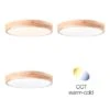 Brilliant LED-Deckenleuchte Slimline Ø 34 Cm 3000 Kelvin Holz Hell-Weiß -Beleuchtungsgeschäft 4004353392504 1079 2