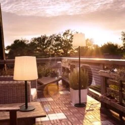 Paul Neuhaus Tischleuchte Falter Anthrazit 28 X 60 Cm -Beleuchtungsgeschäft 4012248357064 2426 02