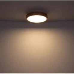 Globo LED Deckenleuchte Rainer Ø 40cm -Beleuchtungsgeschäft 503601 3749 4174524 19