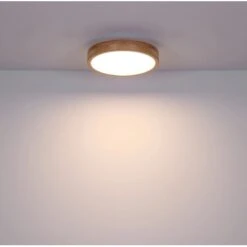 Globo LED Deckenleuchte Rainer Ø 40cm -Beleuchtungsgeschäft 503601 3749 4174524 20