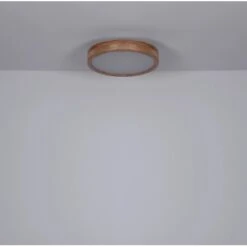 Globo LED Deckenleuchte Rainer Ø 40cm -Beleuchtungsgeschäft 503601 3749 4174524 21