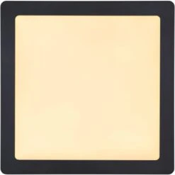 Globo LED-Deckenleuchte Dino 30 X 30 Cm Metall Schwarz -Beleuchtungsgeschäft 755891 3749 4