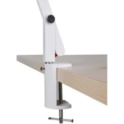 Trio LED-Schreibtischlampe Rotterdam Weiß 1-flammig 5 W -Beleuchtungsgeschäft 761270 2451 2