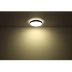 Globo LED-Deckenleuchte Mit Bewegungsmelder Gregory 1-flg. Schwarz 300 X 90 Mm -Beleuchtungsgeschäft 9007371439690 3749 S 04